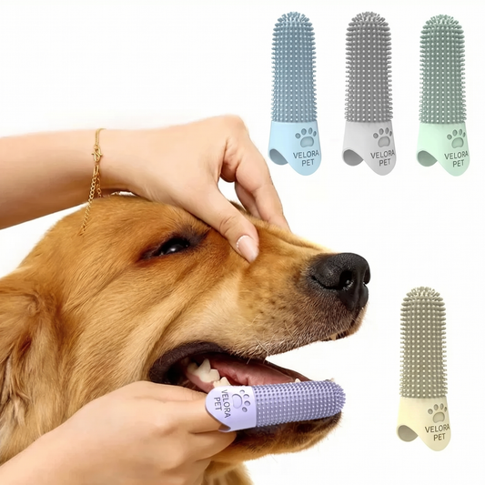 Dedal de limpieza dental para mascotas