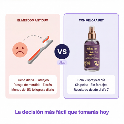 Spray Dental Para Perros Sin Anestesia ni Cepillado